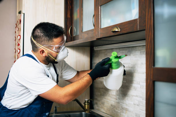 Best Mosquito Control Services  in Ellwood City, PA