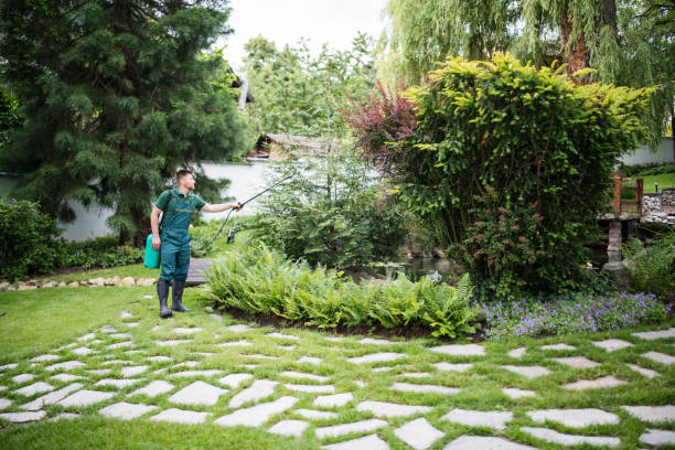 Pest Prevention Services in Ellwood City, PA