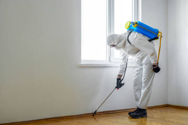 Best Residential Pest Control  in Ellwood City, PA