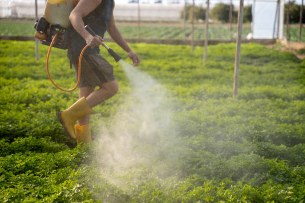 Pest Control for Restaurants in Ellwood City, PA