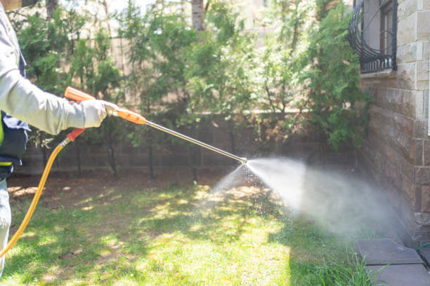 Best Termite Control Services  in Ellwood City, PA