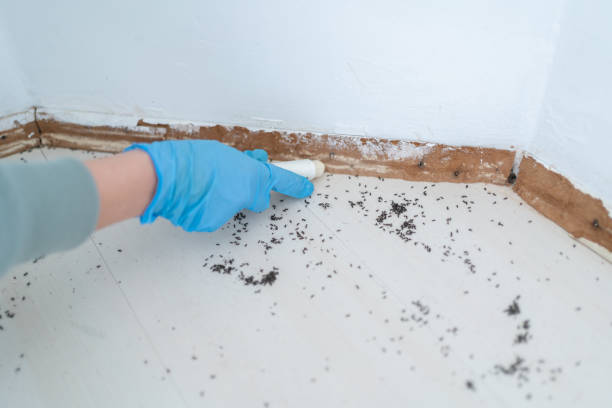 Best Pest Control for Restaurants  in Ellwood City, PA